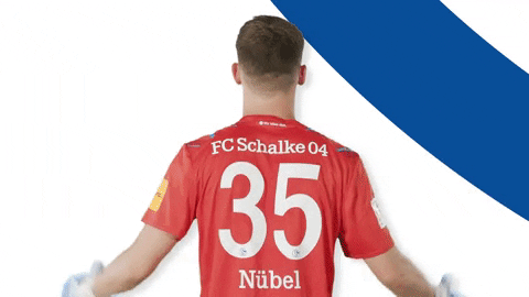 Alexander Nübel Ñubel GIF by FC Schalke 04