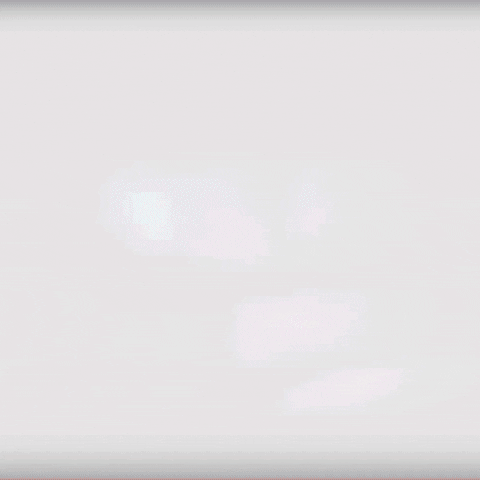 Flutiefdn GIF