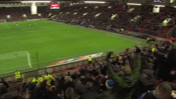 Celebration Fans GIF by Blackburn Rovers