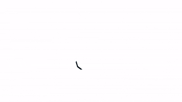 Wdtuev GIF by tanzen_de