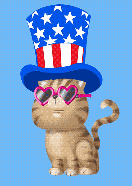 patriotic cat gif