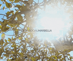 ohsosocialmarbella GIF