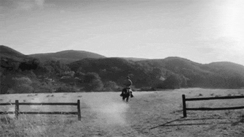 Movie GIF