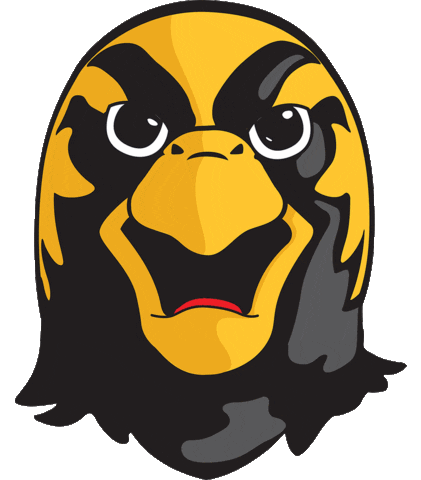 University Falcons Sticker by PfeifferAdmissions
