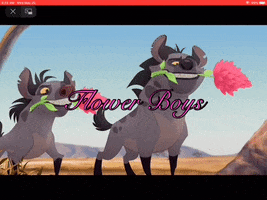 The Lion Guard GIF