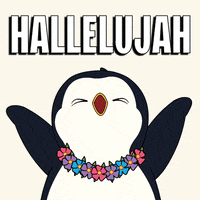 Praise The Lord Yes GIF by Pudgy Penguins