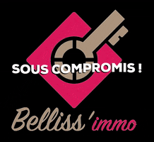 agencebellissimmo GIF