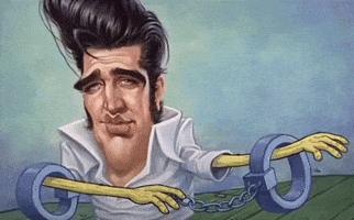 Dog Elvis GIF