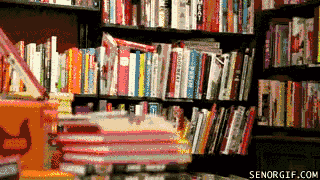 Books Win GIF by Cheezburger - Find & Share on GIPHY