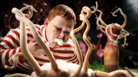 Charlie And The Chocolate Factory GIF - Find & Share on GIPHY