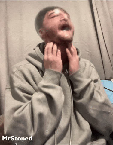 Plastic Bag GIF