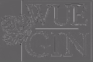 200.gif?cid=fc005b0854423b8bcaa560e56b12e1c4e8ac053ed664bd1e&rid=200.gif&ct=g