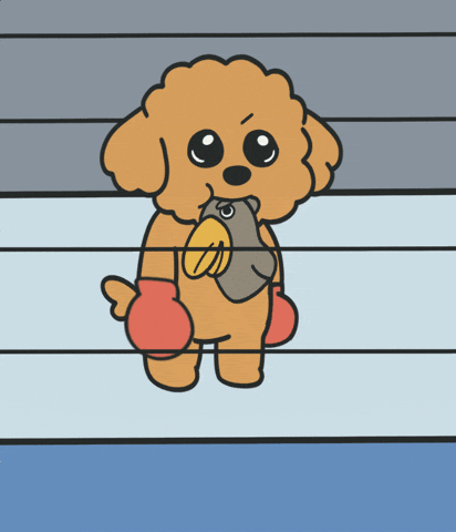 Pon GIF