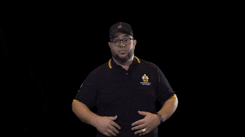 Fórmula do Samba GIF