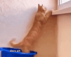 Cat Window GIF by DevX Art