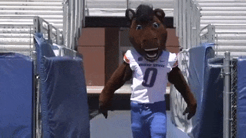 Bleed Blue Boise State GIF by Boise State University