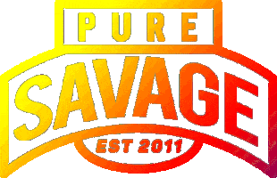 Logo Rainbow Sticker by Pure Savage
