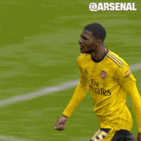 Premier League Soccer GIF by Arsenal