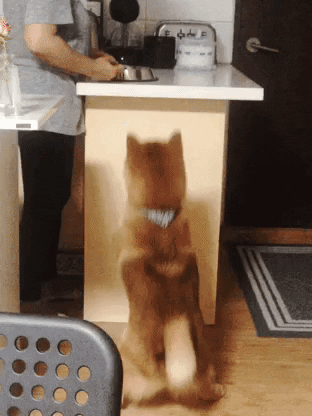 Fire GIF