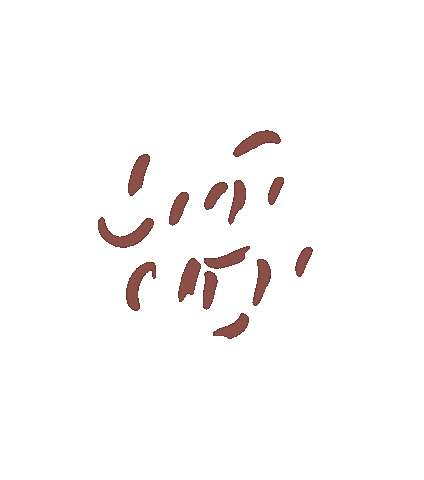 nedelya Sticker