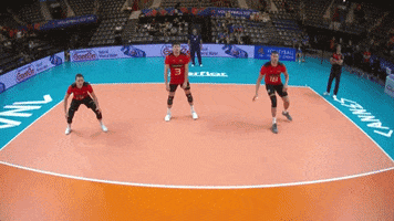 Germany Surprise GIF by Volleyball World
