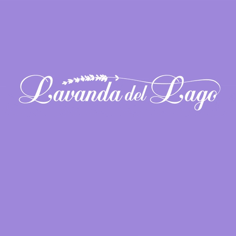 lavandadellago GIF