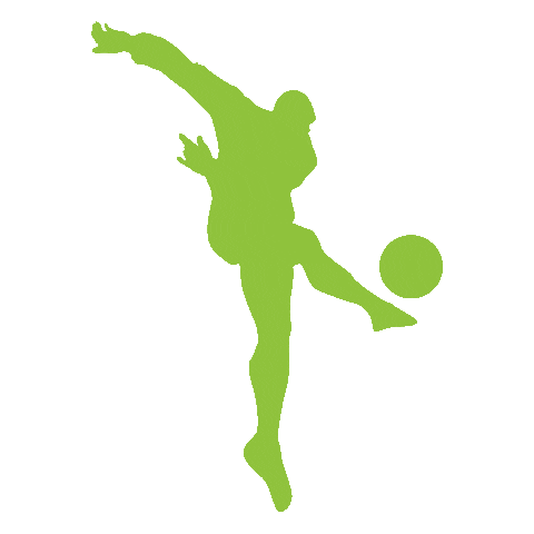 Futbol Ball Sticker by Stadio Soccer