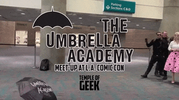 Umbrella Academy Nerds GIF by Temple Of Geek