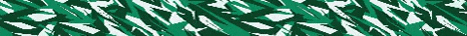 nuernberg_hawks wedemhawks hawks nürnberg camouflage feather wings banner green football GIF