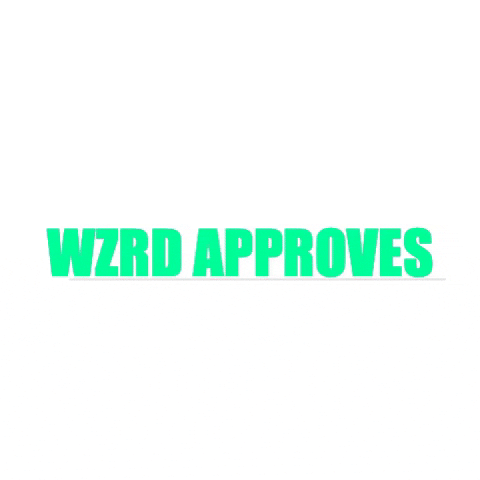 djwzrd djwzrd wzrdapproves GIF