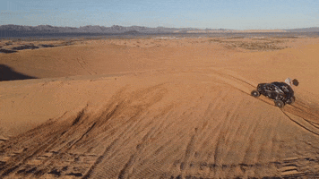 Sand Dunes Utv GIF by One Offroad