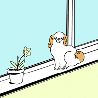 Doggo Dog Bye Gifs Get The Best Gif On Giphy Doggo Dog Bye Gifs Get The Best Gif On Giphy