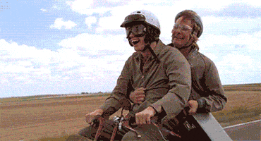 dumb and dumber harry dunne GIF