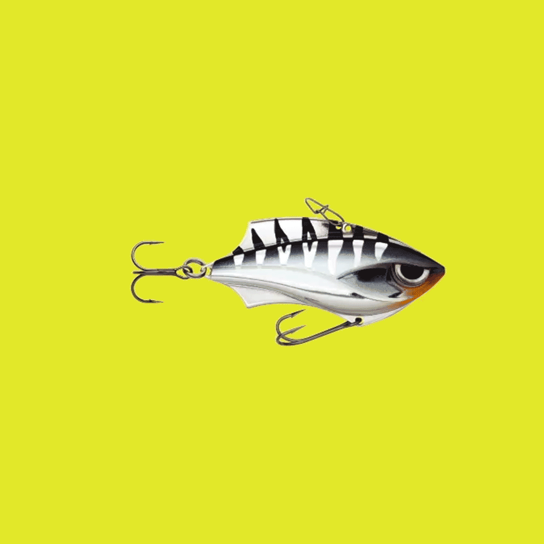 Fishing GIF by Rapala Find & Share on GIPHY