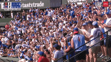 Excited Chicago Cubs GIF