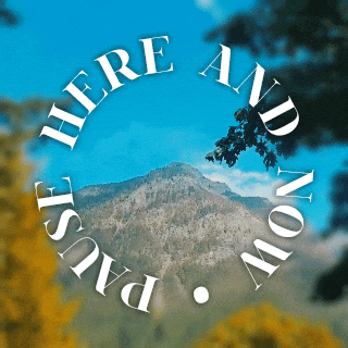Nature GIF