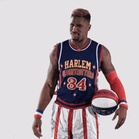Say What GIF by Harlem Globetrotters