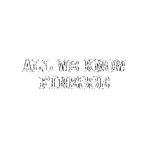 Finesse Circle Worldwide Sticker