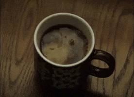 Cup Of Coffee GIF by Old Sea Brigade
