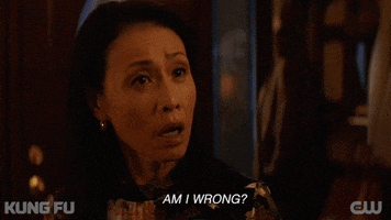 Are You Serious Tv Series GIF by CW Kung Fu