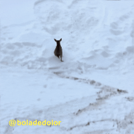 Snow Love GIF