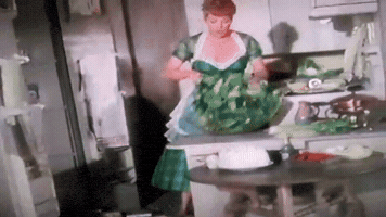 tinylittlereveries lucille ball rv life the long long trailer trailer kitchen GIF