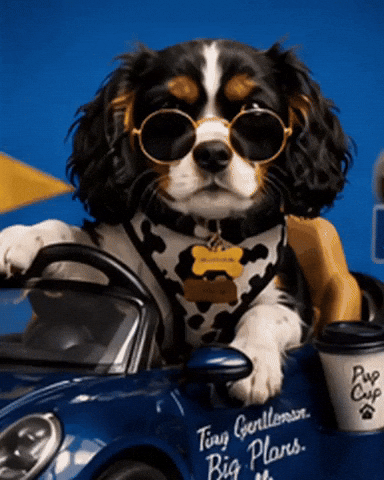 Car Puppy GIF