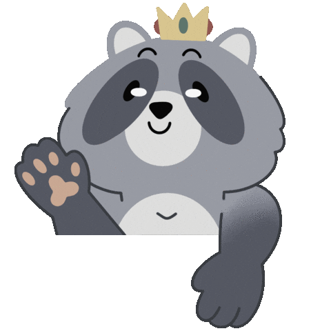 Raccoon Bongo Sticker