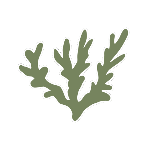 Hook + Line Sticker
