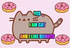 I Am A Cat Yes GIF