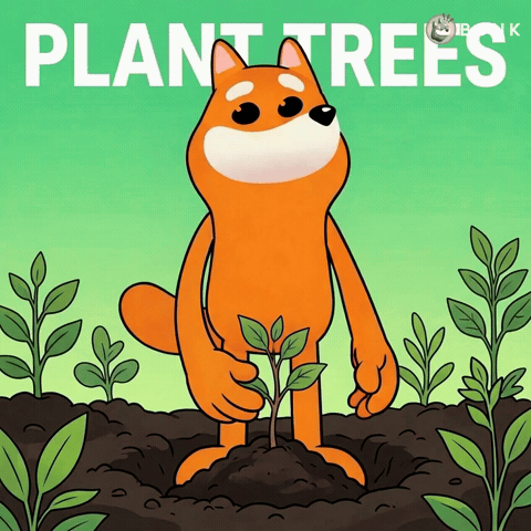 Plant Trees Growing Plants GIF by BONK