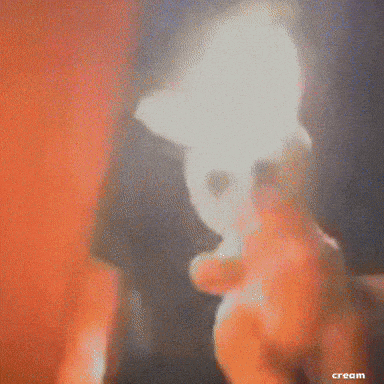Bunny Floating GIF