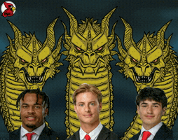 Illinois State Isu GIF