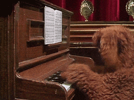 Jim Henson Dog GIF by Muppet Wiki